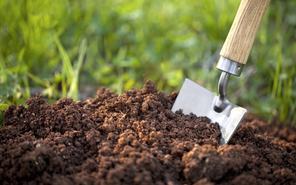 Preparing the Soil for Marijuana